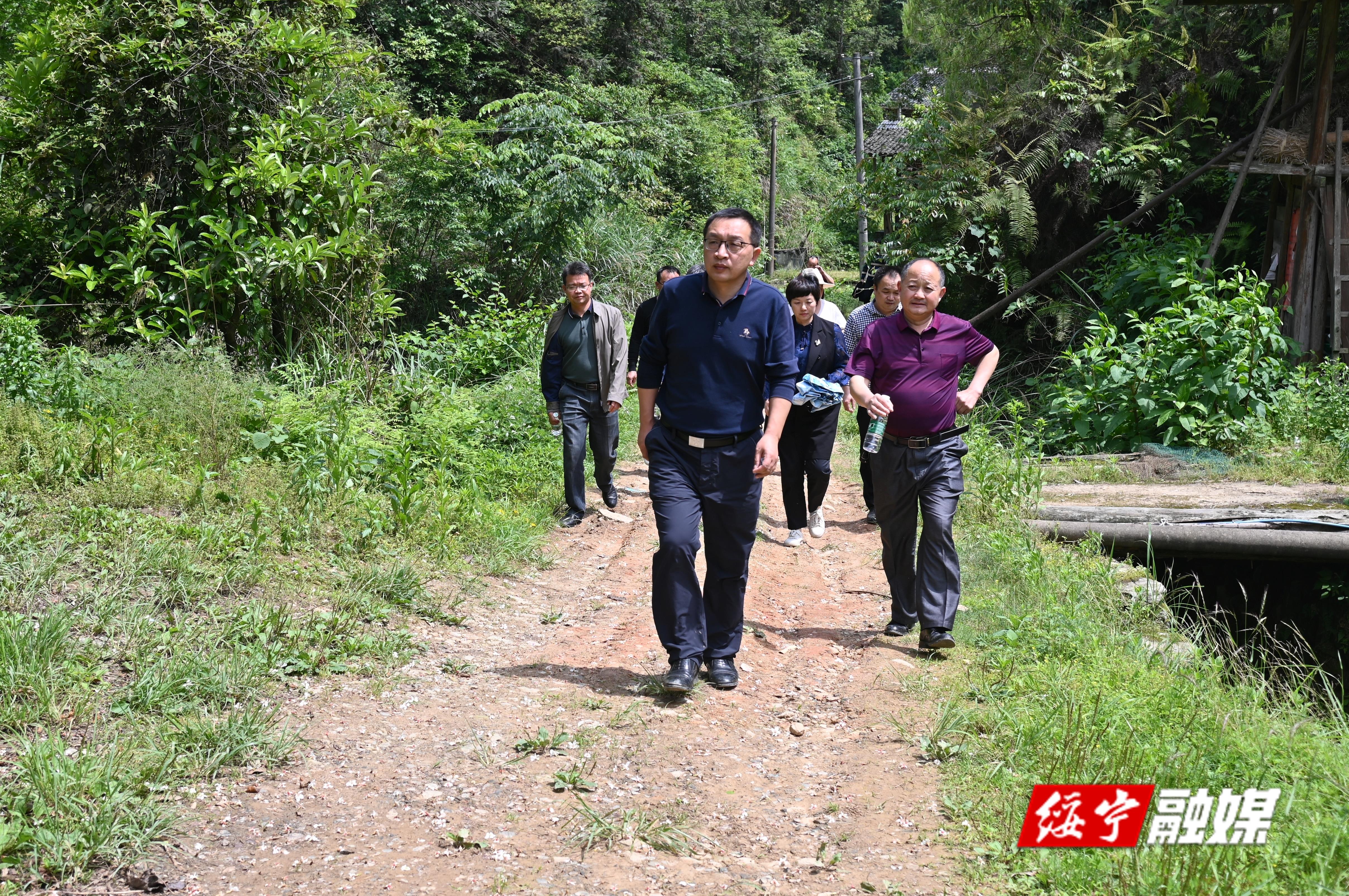 绥宁县人大常委会现场调研乡村道路建设_邵阳头条网