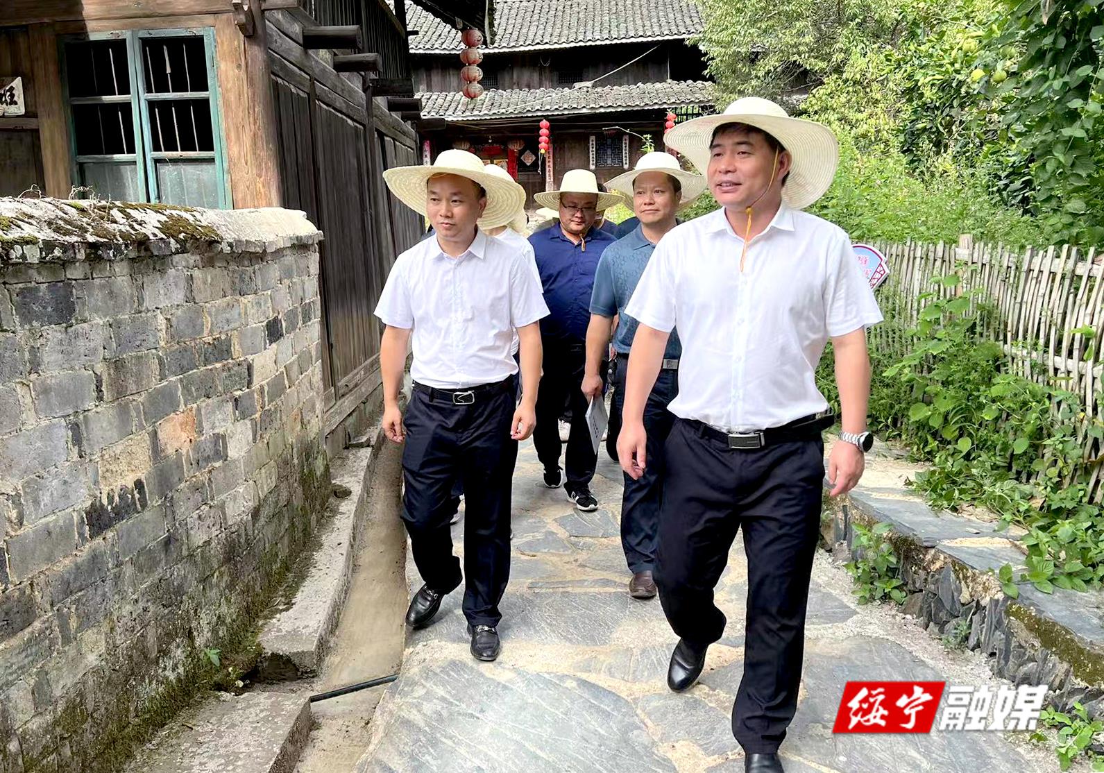佘芝云赴乡镇调研乡村振兴、督导抗旱保收工作_邵阳头条网