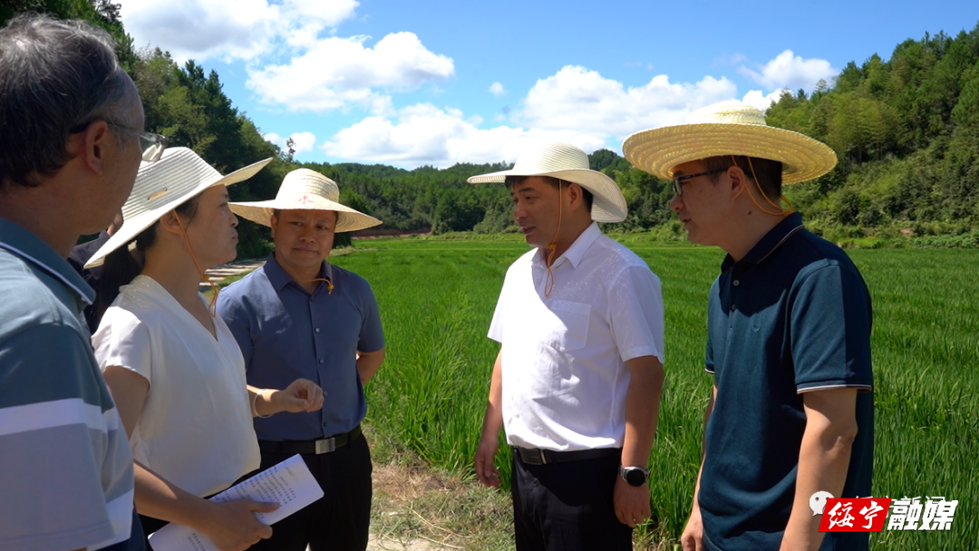 佘芝云深入乡镇督导抗旱保收和调度秀水水库建设进度工作_邵阳头条网