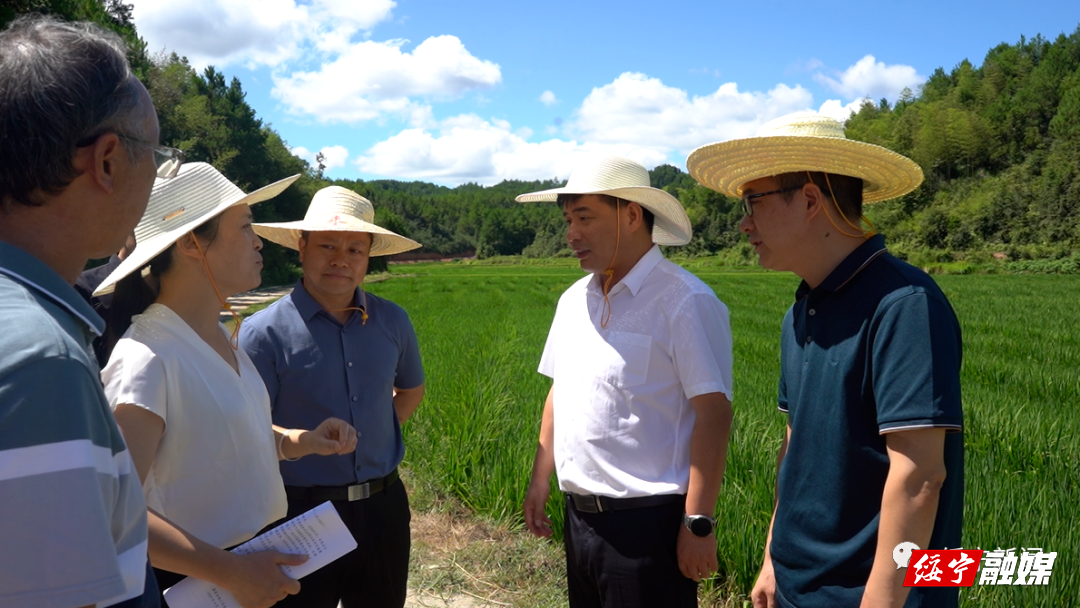 佘芝云深入乡镇督导抗旱保收和调度秀水水库建设进度工作_邵商网