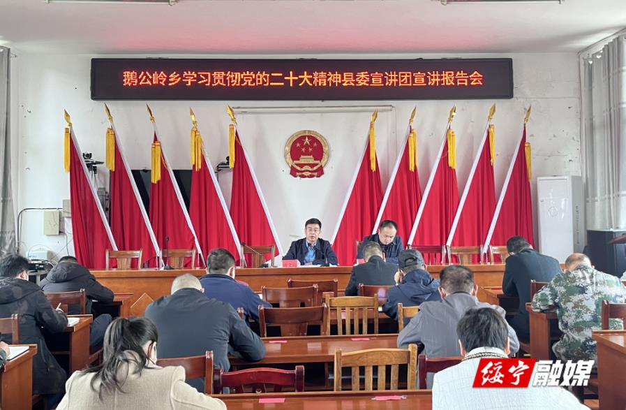 谢文远在鹅公岭乡宣讲党的二十大精神_邵阳头条网