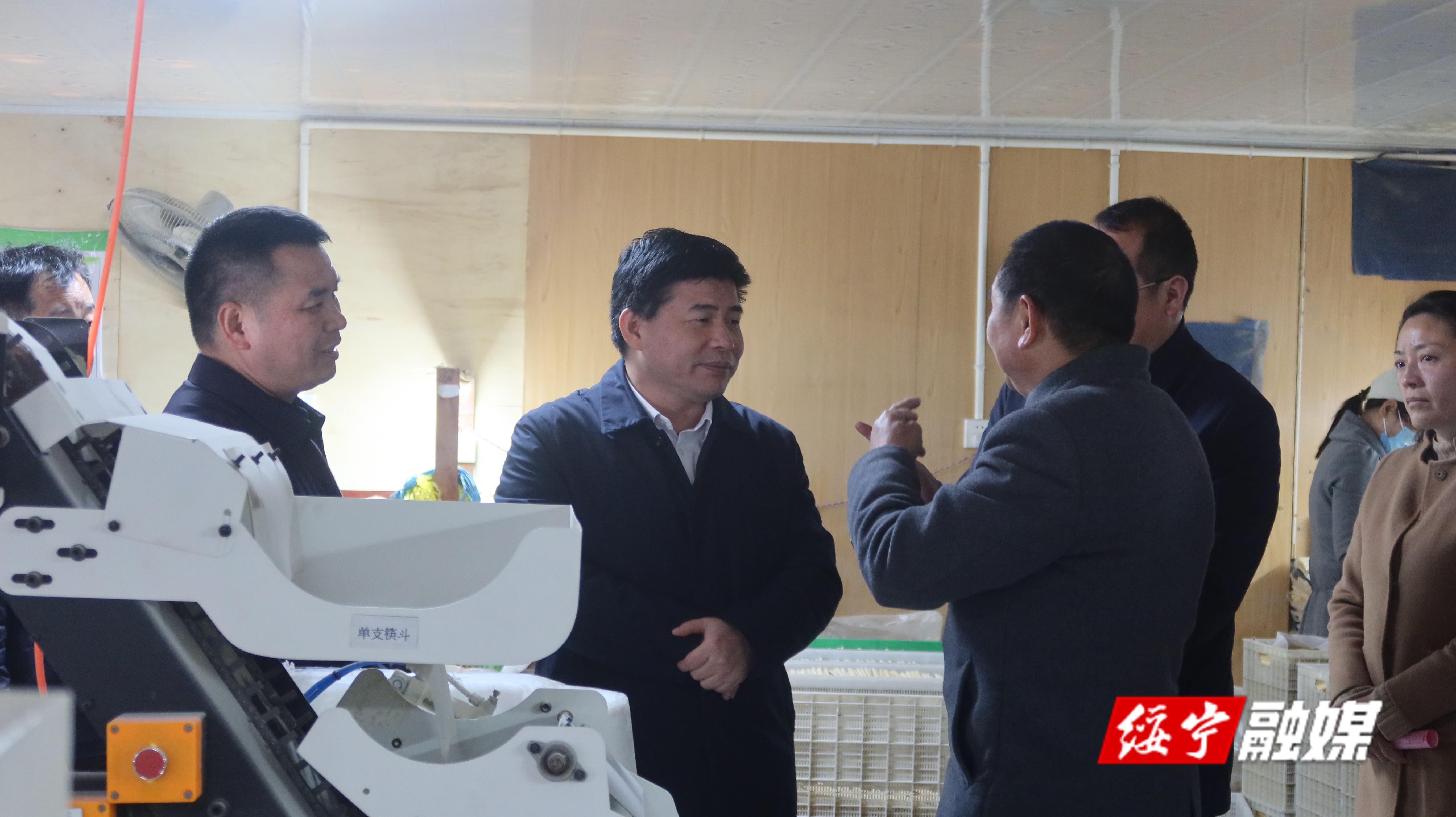 佘芝云调研楠竹产业及就业帮扶车间建设情况_邵阳头条网