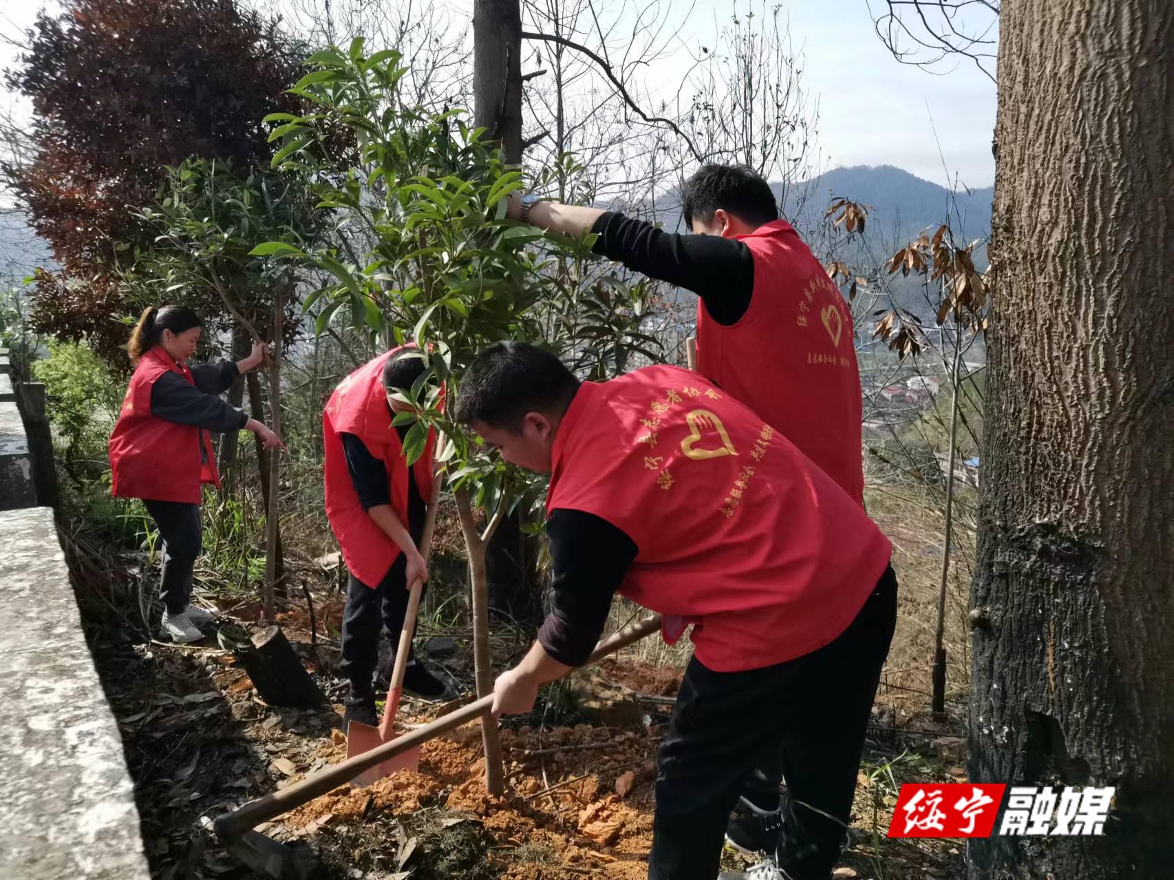 绥宁县退役军人事务局：为革命英雄纪念园增绿添美_邵阳头条网