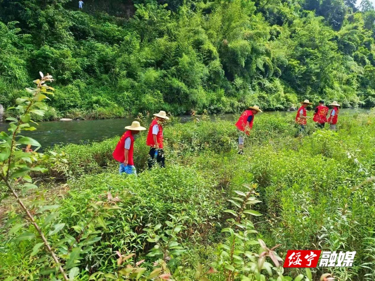 河口乡：河道保洁 “清河净滩”在行动_邵商网