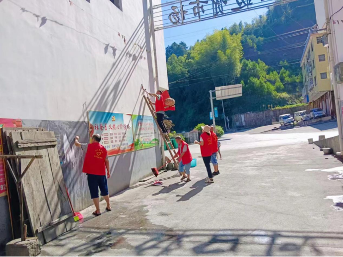 河口乡:常态化开展农村人居环境整治提升行动_邵阳头条网