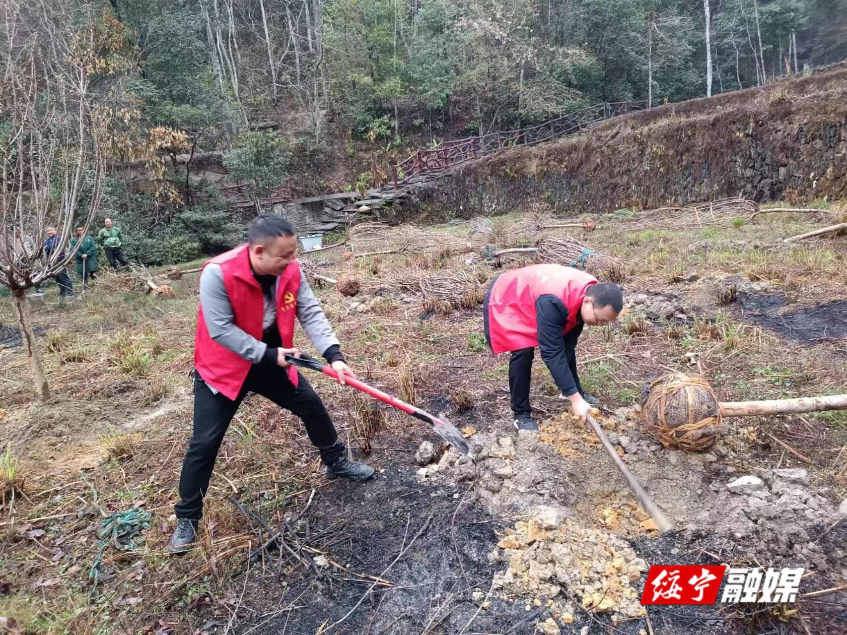河口乡：春学党史 植树添绿_邵阳头条网