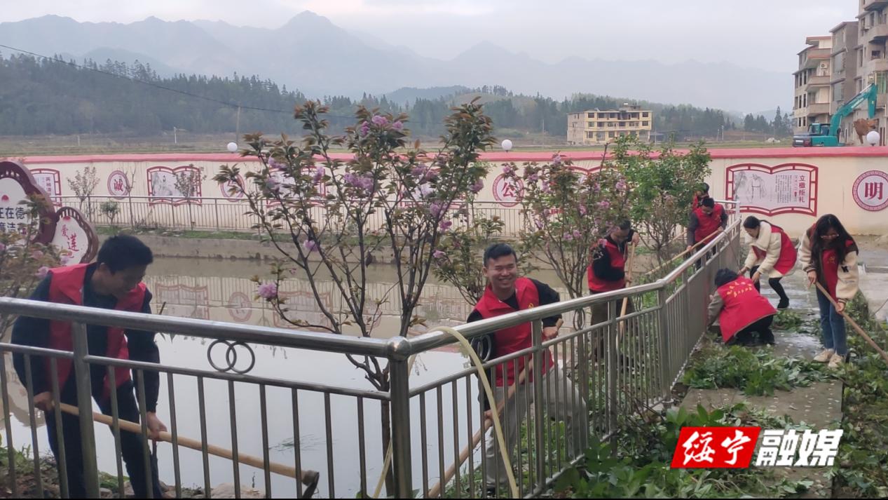 黄土矿镇:种花扮靓小乡村 植树改善大环境_邵阳头条网