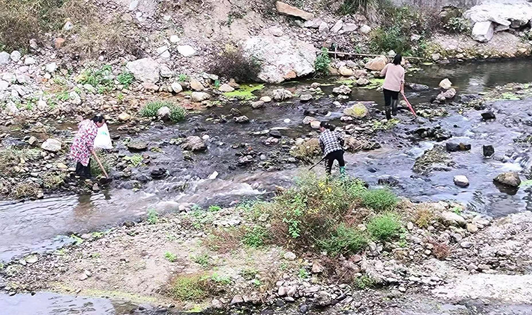黄土矿镇：群众有呼声　委员见行动_邵阳头条网