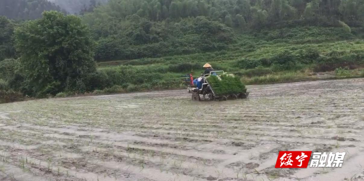 李熙桥镇：切实抓好春耕“头等大事_邵阳头条网