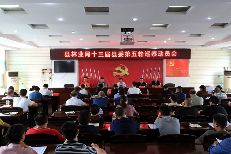 绥宁县委第一巡察组巡察绥宁县林业局党委工作动员会召开_邵阳头条网