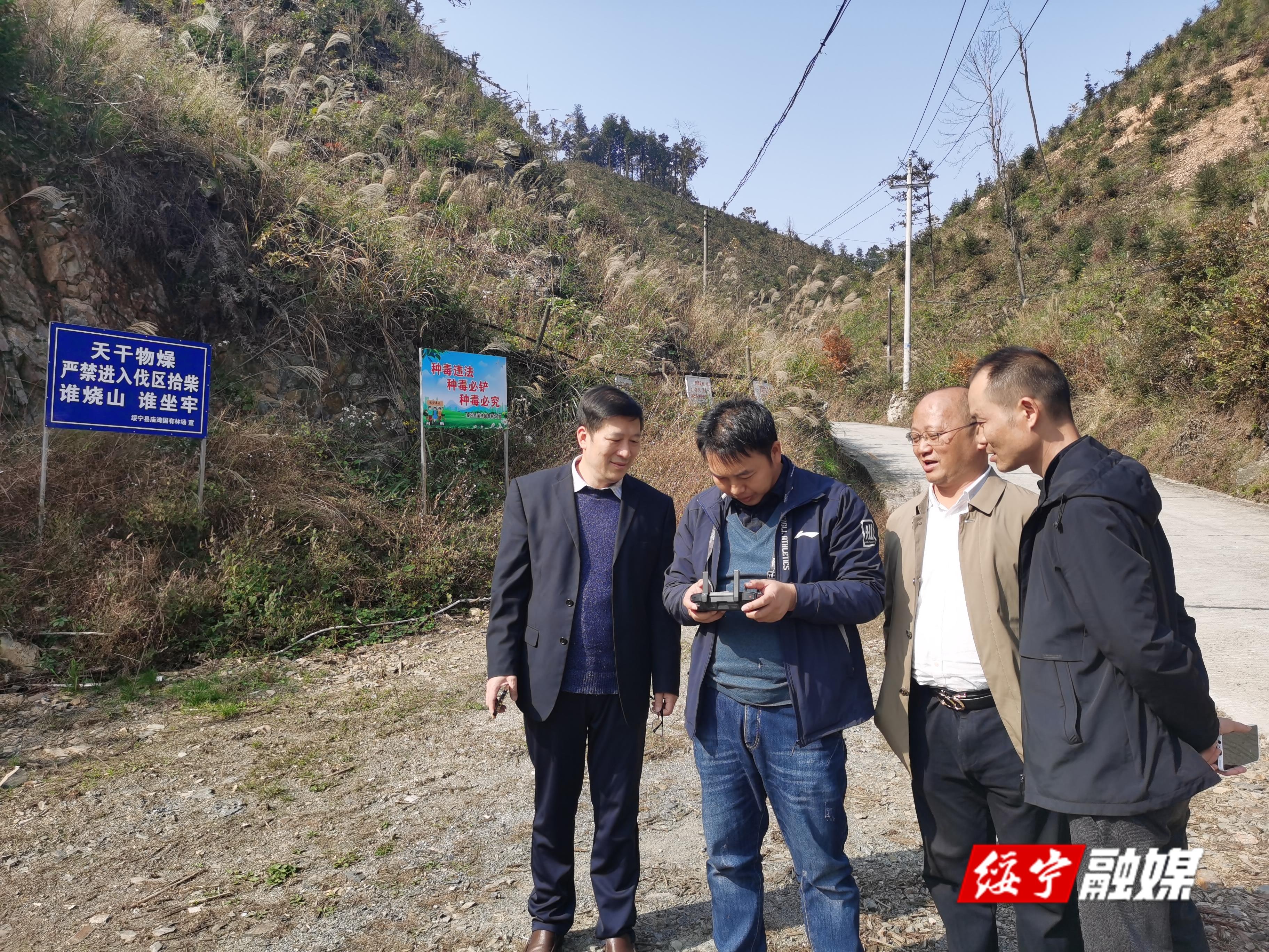 绥宁县林业局开展“禁种铲毒”专项行动_邵阳头条网