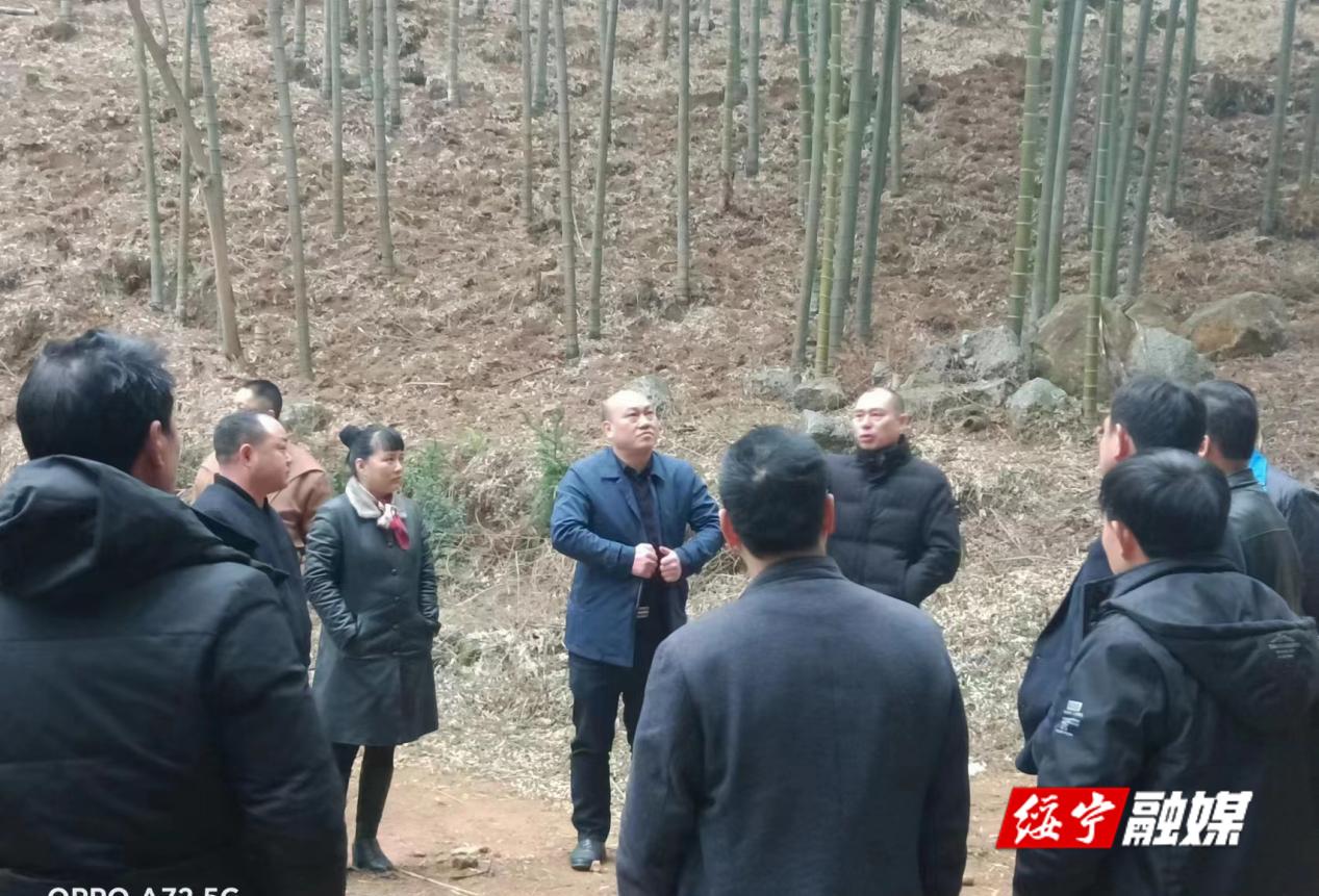 麻塘乡：人大代表调研产业发展 助推乡村振兴_邵阳头条网