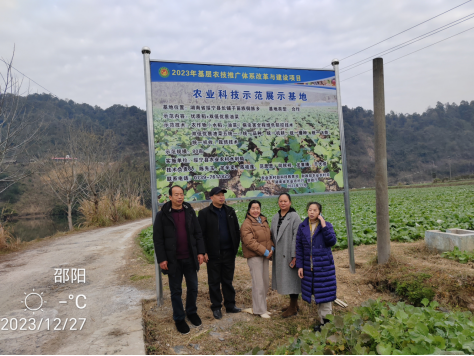 在“家门口”学习农业先进技术_邵阳头条网