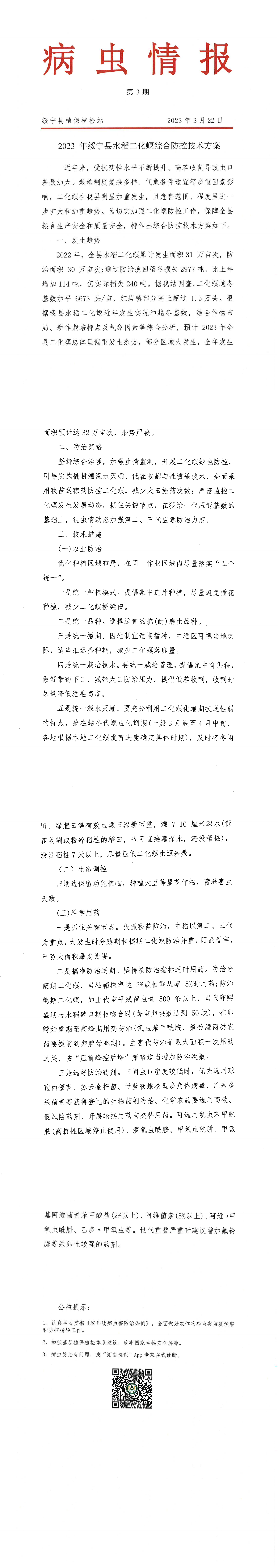 病虫情报第3期 2023年绥宁县水稻二化螟综合防控技术方案_邵阳头条网