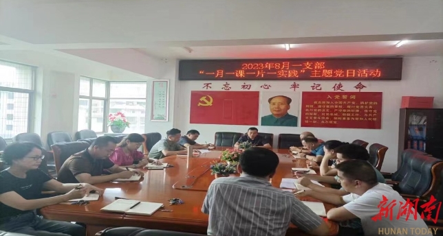 绥宁县人社局：主题党日忆初心 志愿服务永不停_邵阳头条网