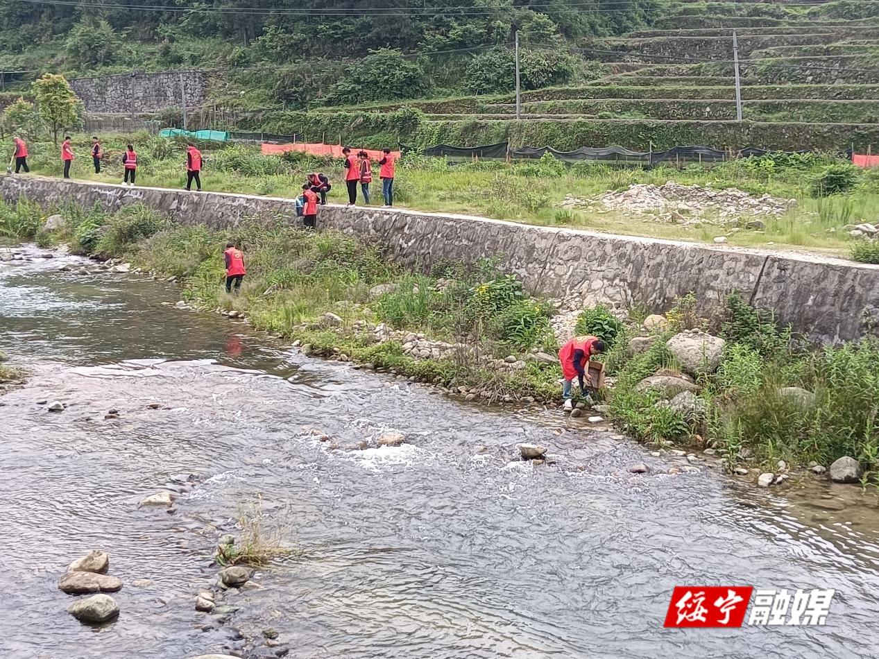 水口乡开展“文明创建 河道保洁”志愿服务活动_邵阳头条网