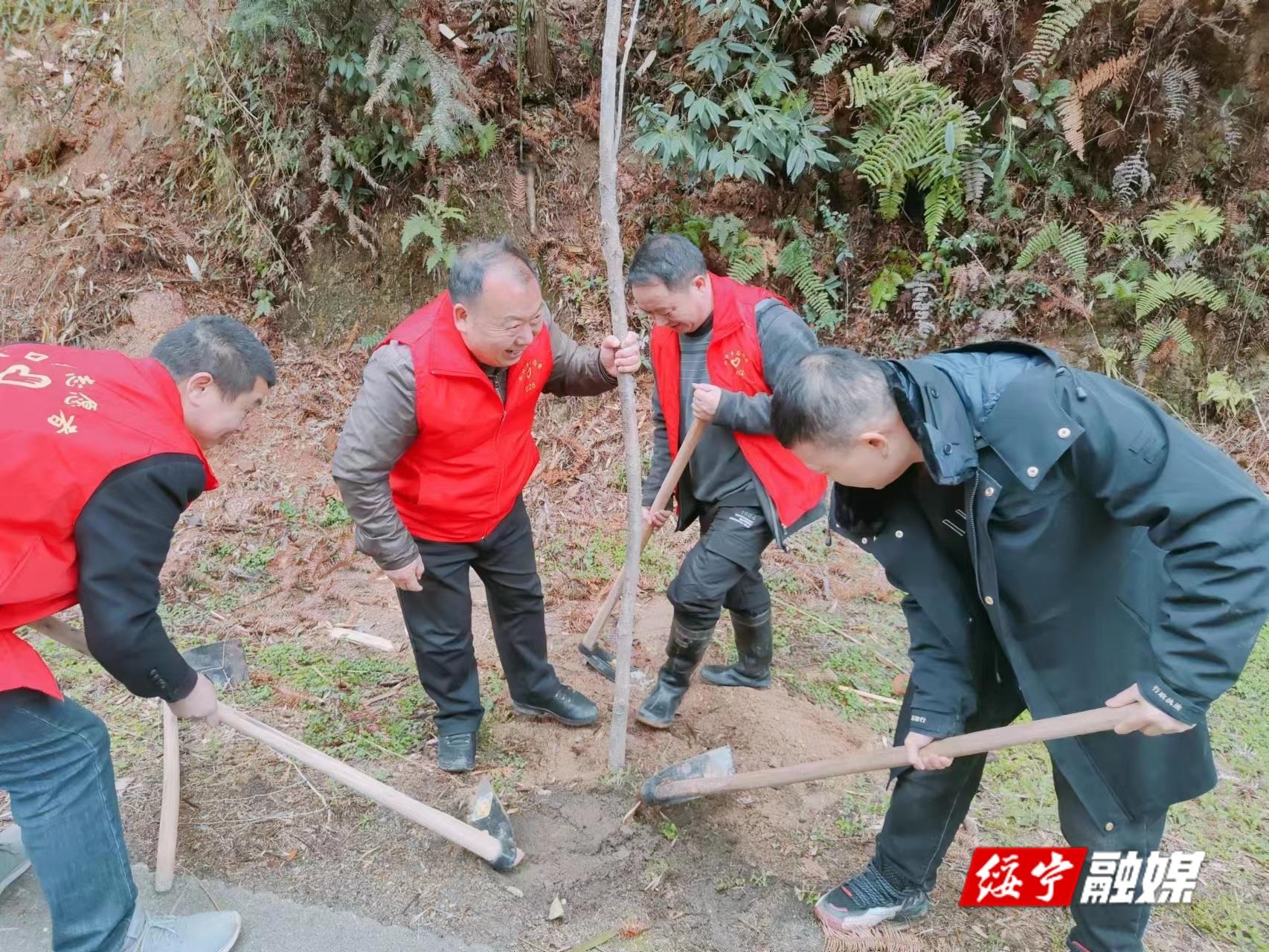 水口乡党员干部植“禁毒之树” 创禁毒示范乡镇_邵阳头条网