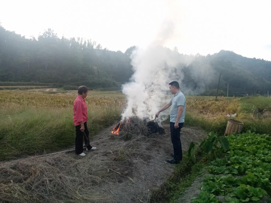 水口乡：“利剑”出鞘 守护一方“绿水青山”_邵商网