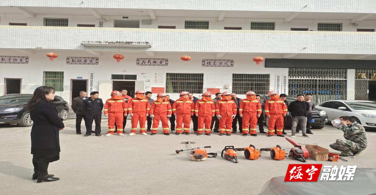 唐家坊镇：抓紧抓实清明特护期森林防灭火工作_邵阳头条网