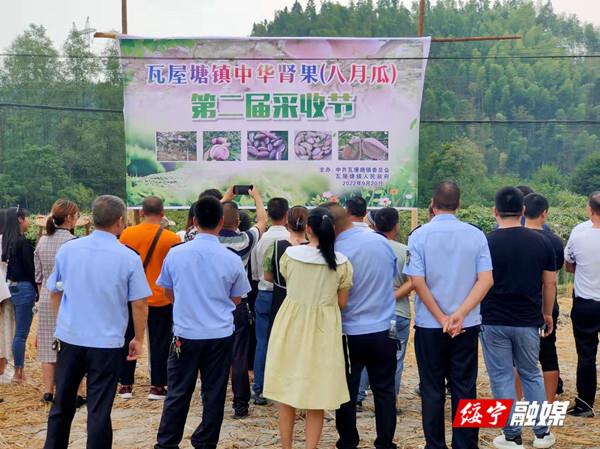 瓦屋塘镇举办第二届八月瓜采收节庆丰收_邵阳头条网