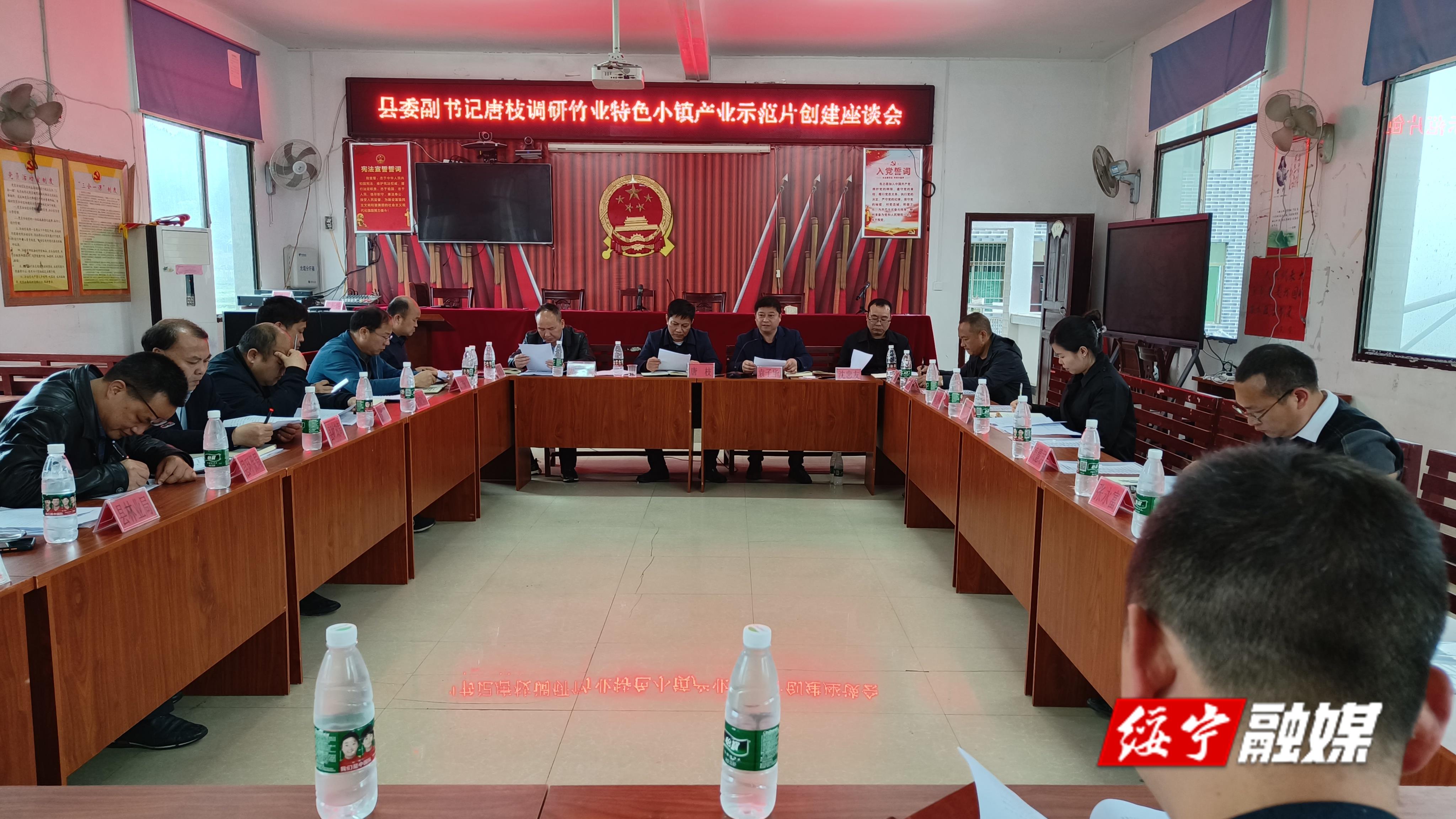 唐枝到瓦屋塘镇调研竹业特色小镇创建工作_邵阳头条网