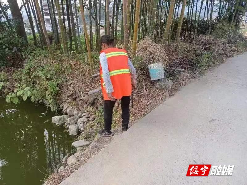 武阳镇：党员干部模范带头 清洁村庄扮靓家园_邵阳头条网