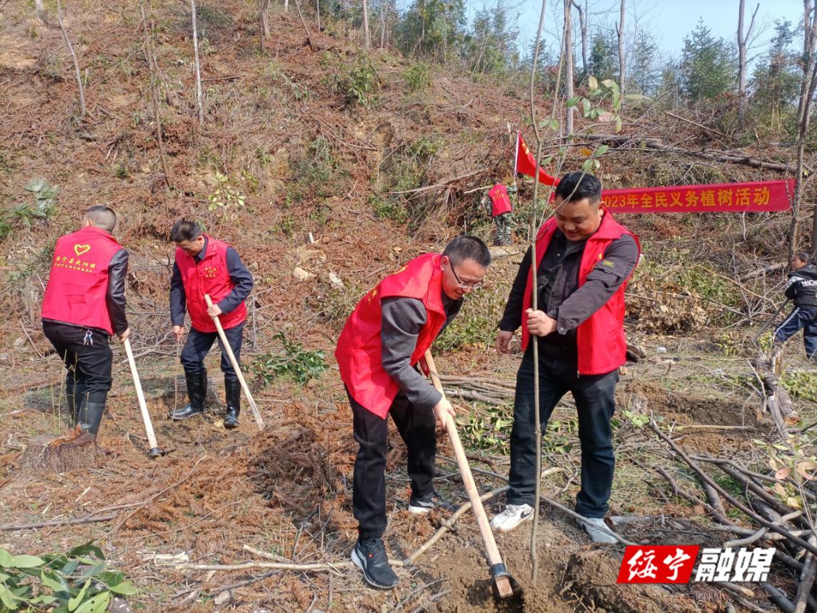武阳镇：学习雷锋践行动 植树造林促文明_邵阳头条网