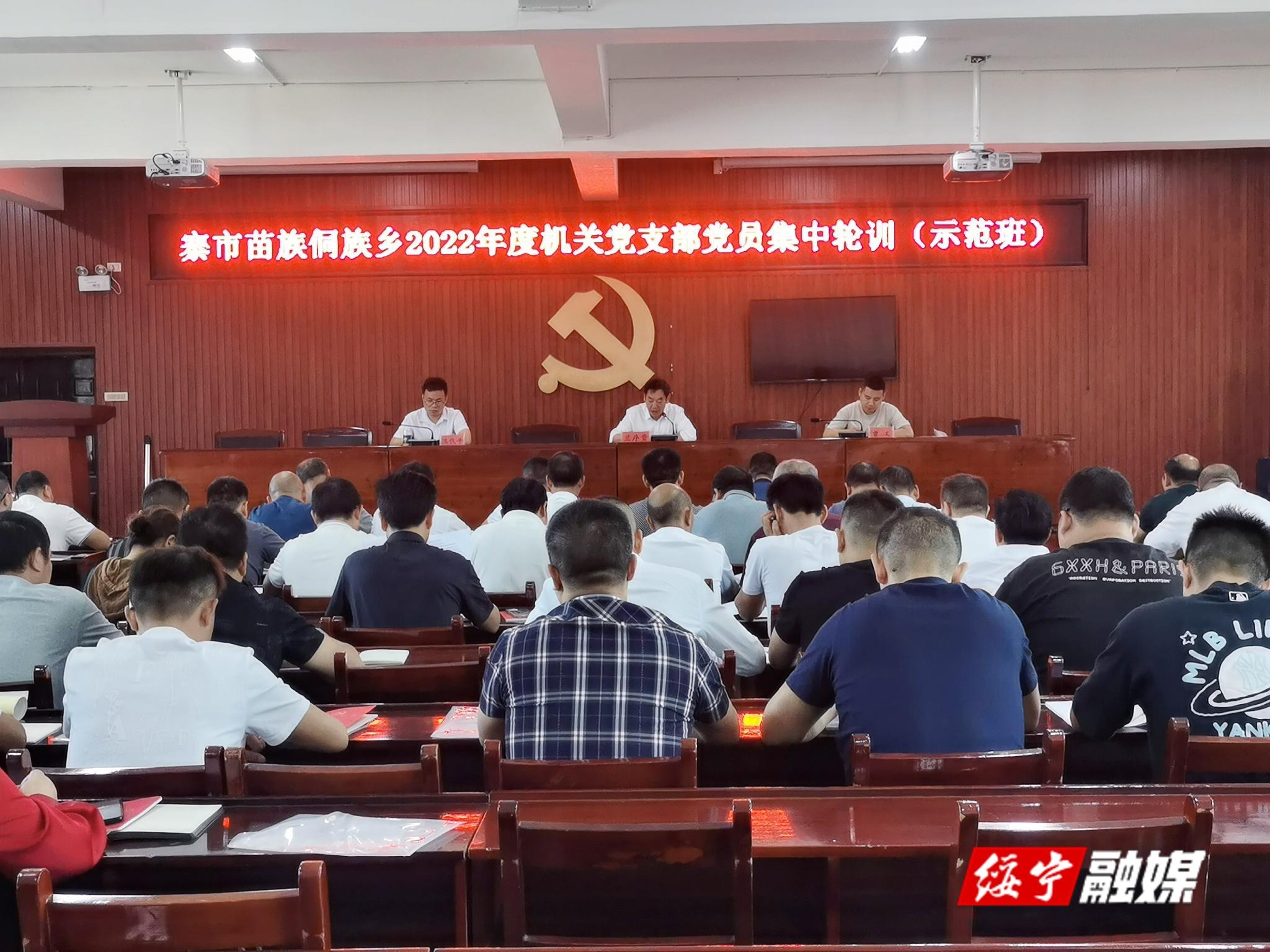 寨市乡：“三个结合”开展基层党员轮训_邵阳头条网