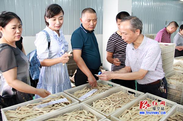 市政协委员来绥宁开展专题视察(图3)
