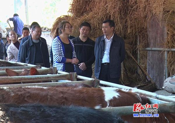 唐渊赴乡镇开展“三走访三签字”活动(图1)