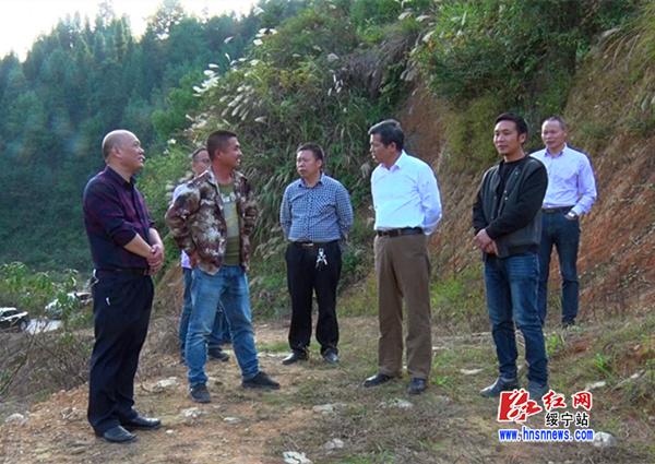 唐渊赴鹅公岭乡调研贫困村产业扶贫工作(图3)