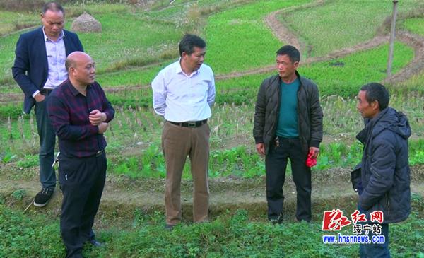 唐渊赴鹅公岭乡调研贫困村产业扶贫工作(图1)
