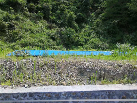 绥宁县城管执法局集中拆除一批违法建设(图7)