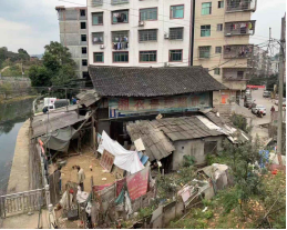 绥宁县长铺镇推动主题教育走深走实(图2)
