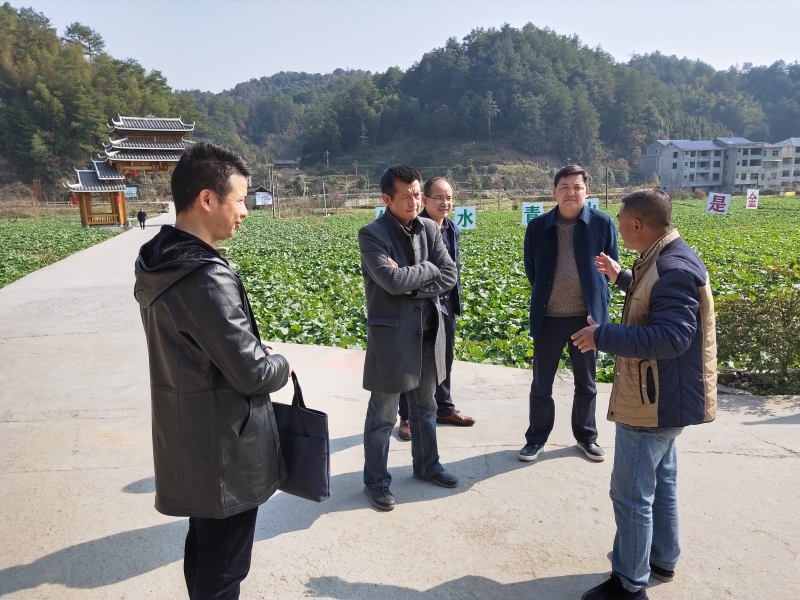 市移风易俗检查组深入乐安乡督查工作(图1)