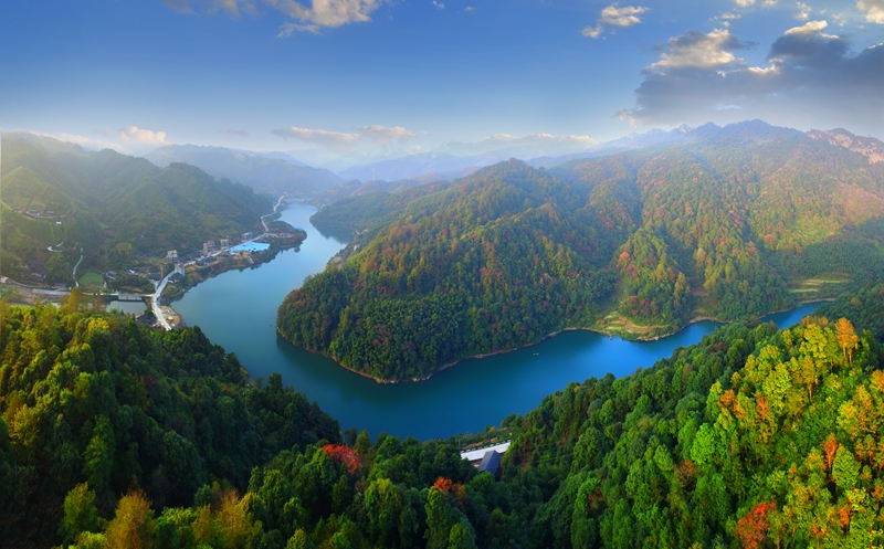 绿满山川画卷舒——绥宁县林业70年发展纪实(图1)
