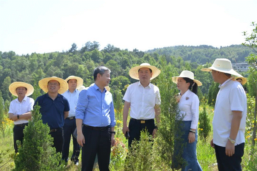 邵阳市委书记严华图片