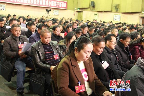 绥宁县第十七届人民代表大会第五次会议隆重开幕(图6)