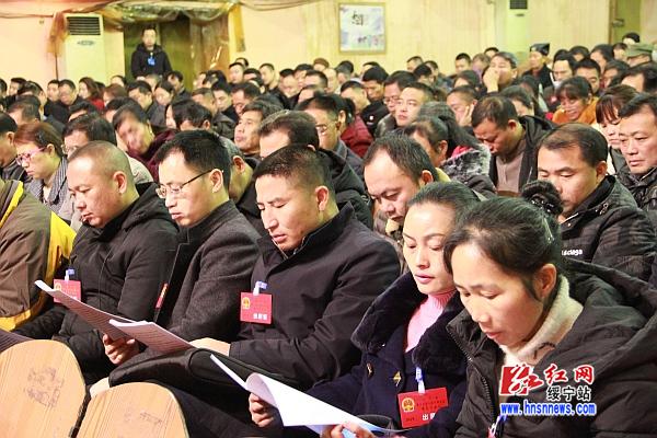 绥宁县第十七届人民代表大会第五次会议隆重开幕(图5)