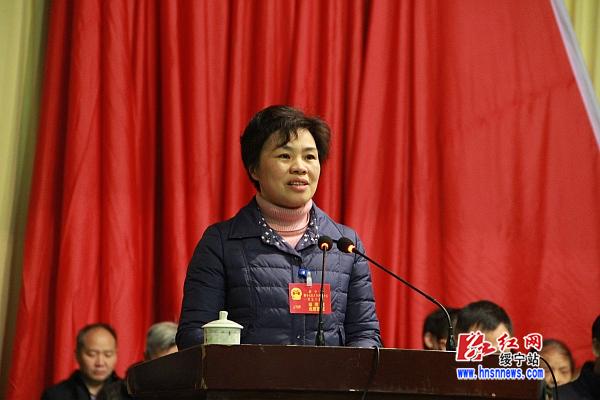 绥宁县第十七届人民代表大会第五次会议隆重开幕(图2)