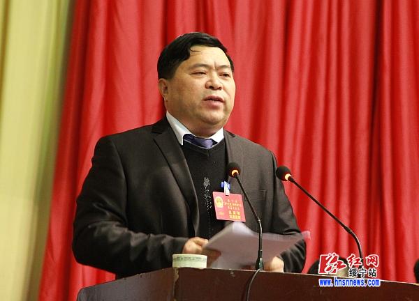 绥宁县第十七届人民代表大会第五次会议举行第二次全体会议(图2)