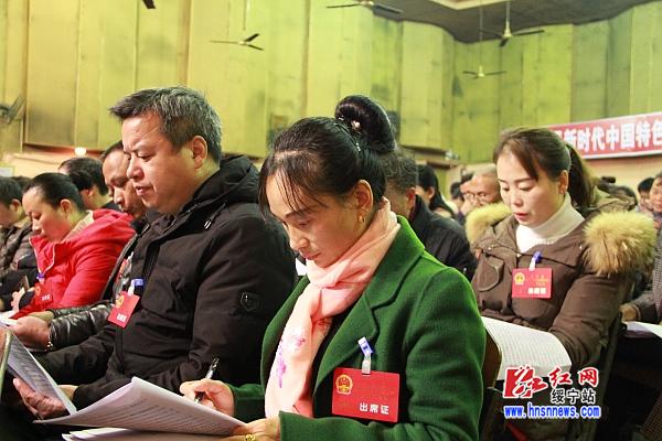 绥宁县第十七届人民代表大会第五次会议举行第二次全体会议(图6)