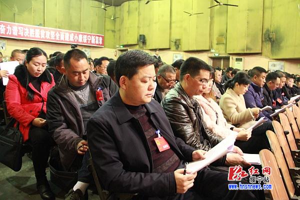 绥宁县第十七届人民代表大会第五次会议举行第二次全体会议(图7)