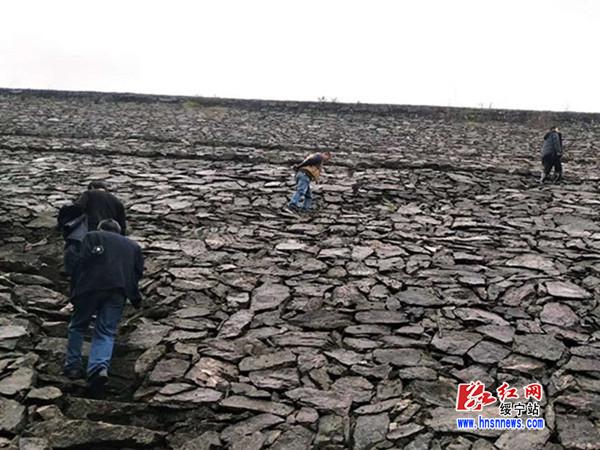 绥宁县4个检查组分赴17个乡镇开展汛前安全检查(图1)