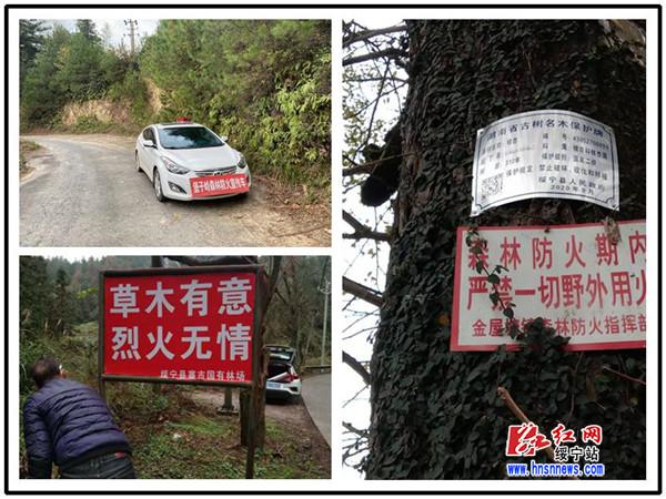 绥宁：多管齐下发起冬季森林防火宣传总动员(图1)