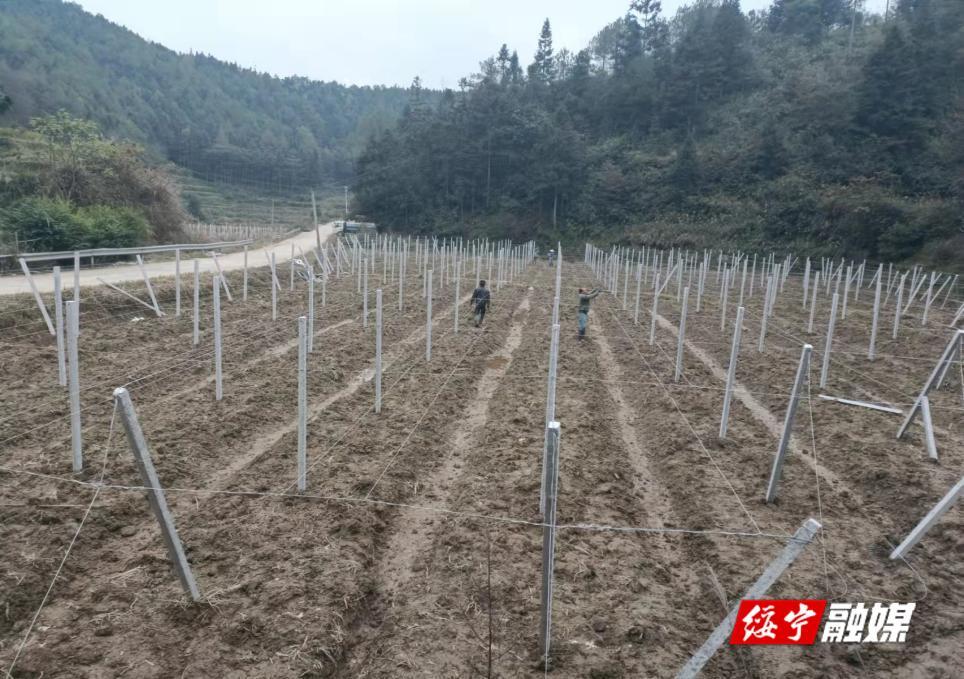 绥宁县驻村工作队“暖心服务”推进驻村帮扶(图1)