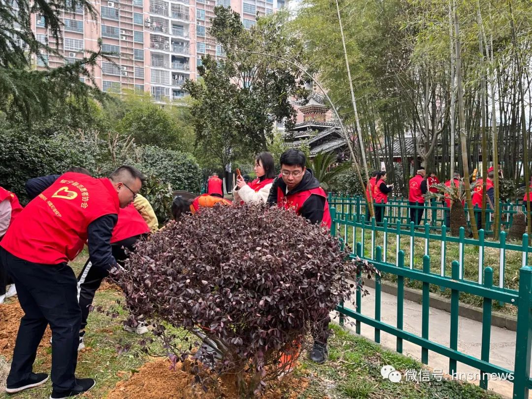 弘扬雷锋精神 共建文明绥宁(图1)