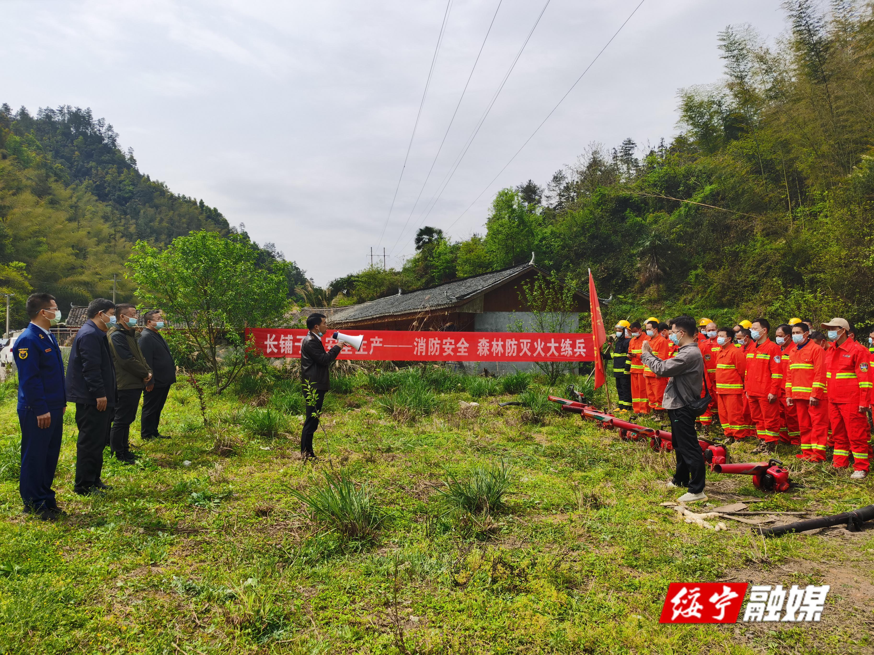张晨阳专题调研森林防灭火工作(图1)