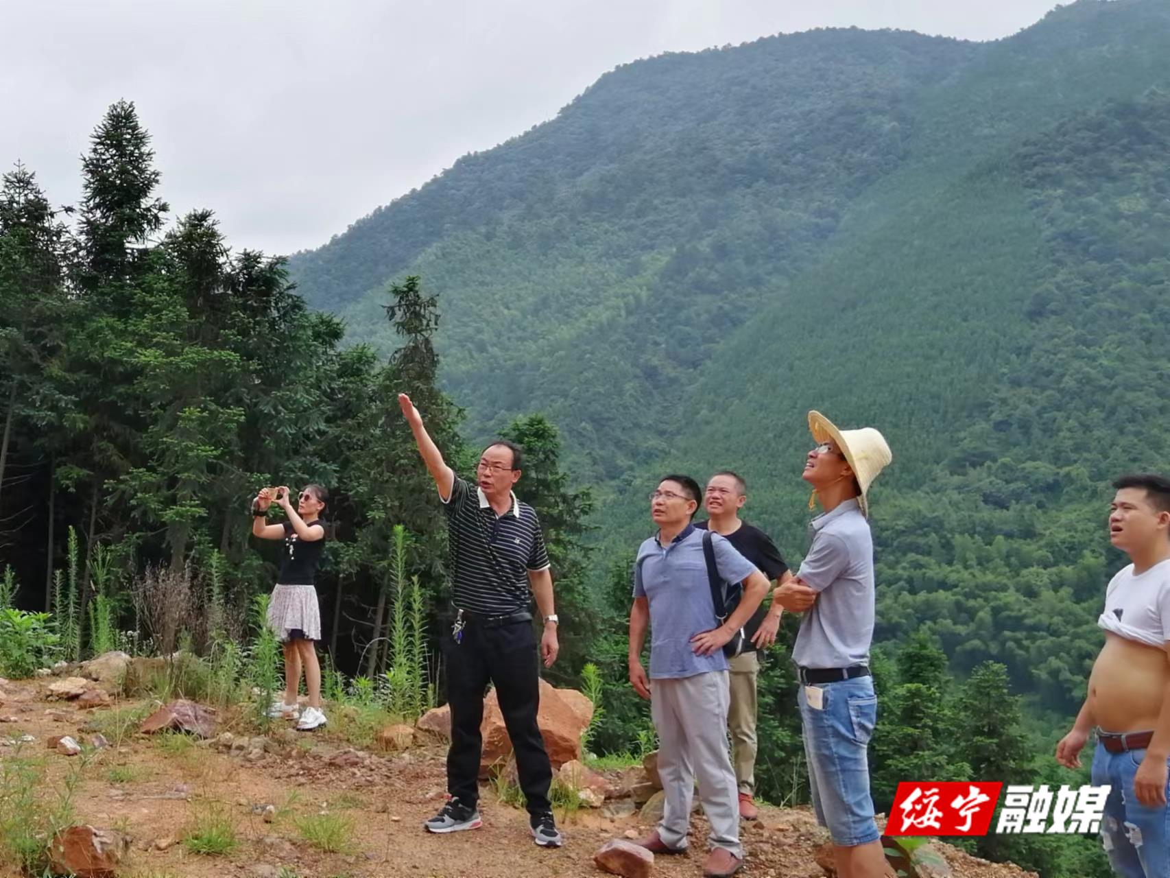 绥宁：查风险 除隐患 筑牢汛期安全防线(图1)