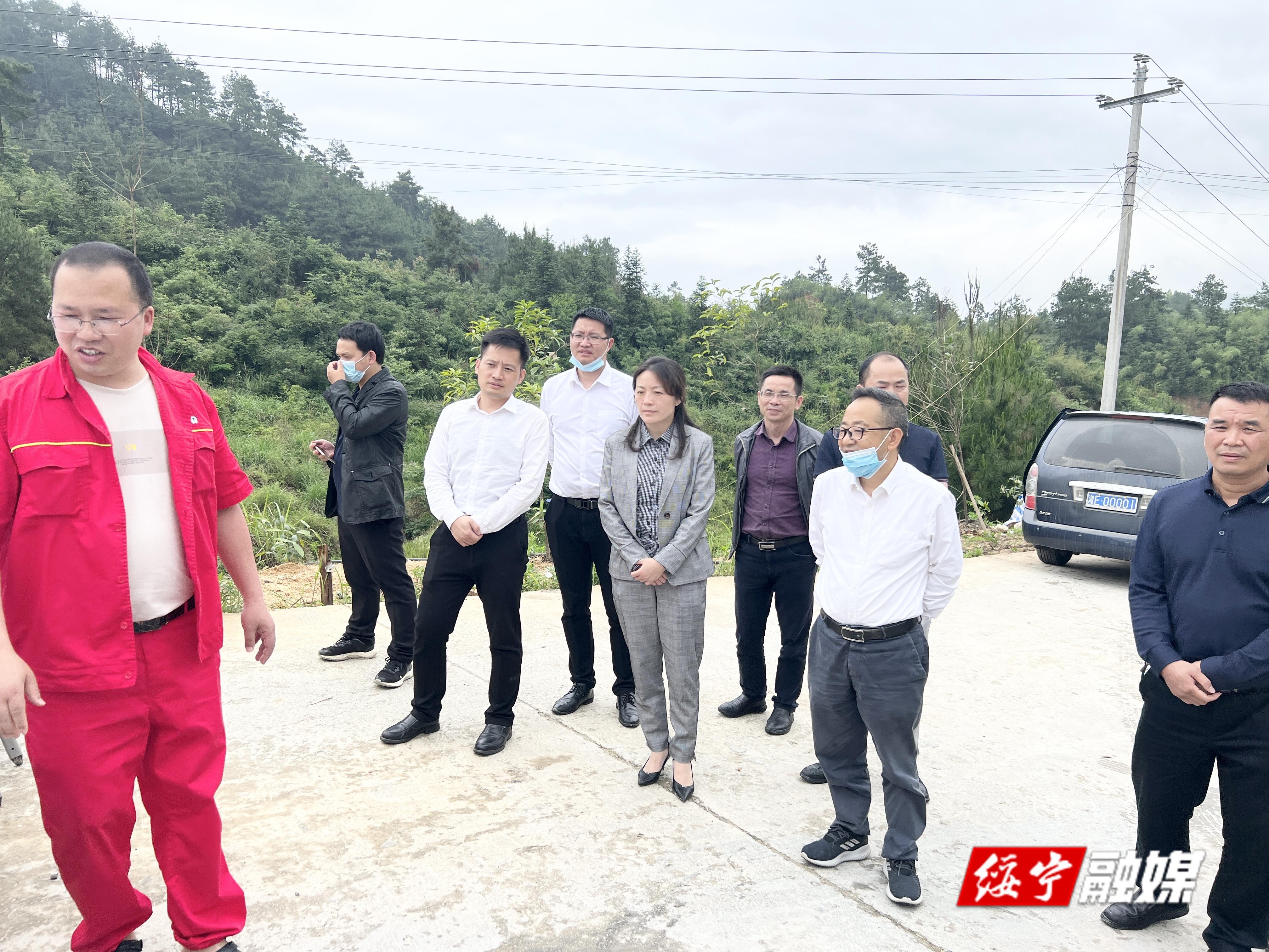 邵阳市调研组来绥宁调研生猪产业发展情况(图1)